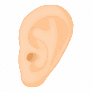 a pair of ears icon