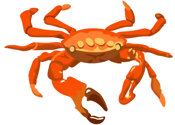 a cartoon crab on a white background