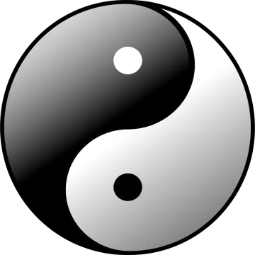 a yin yin symbol on a white background
