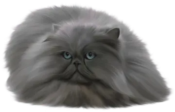 a drawing of a cat with blue eyes