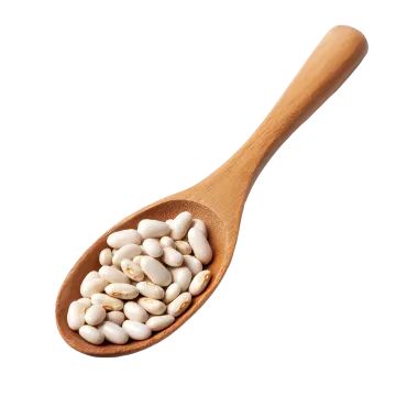 white beans in a wooden spoon on a white background