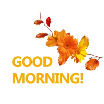a flower with the words god morning on it