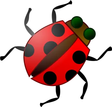 a lady bug with four legs and two legs