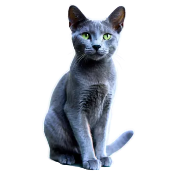 a gray cat with green eyes sitting on a white surface