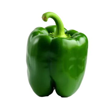 a green pepper on a white background