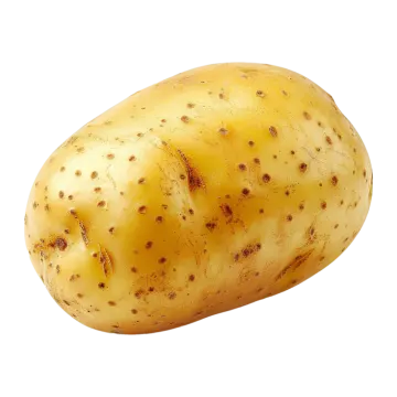 a potato on a white background