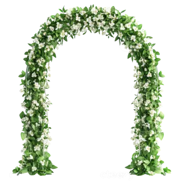 an arch of white flowers and green leaves