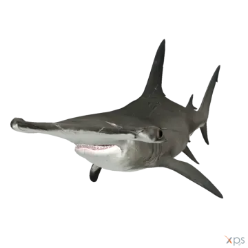 an image of a shark with its mouth open