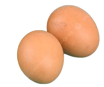 two eggs on a white background