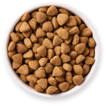 a white bowl filled with dog food