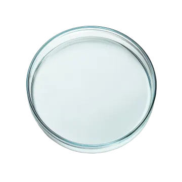 a glass plate on a white background