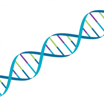 a blue and green dna strip