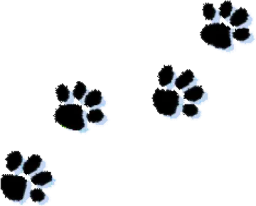a black and white dog paw print on a white background