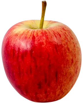 a red apple on a white background