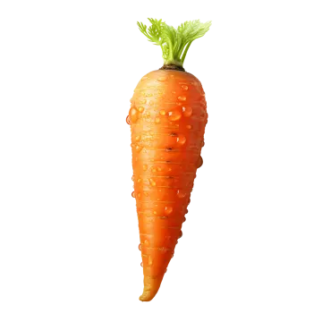 a carrot with water drops on it