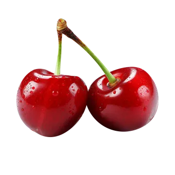 two chers on a white background