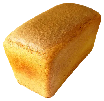 a piece of bread on a white background