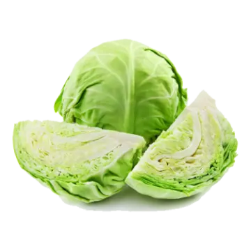 a head of cabbage on a white background