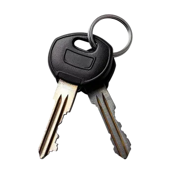 a bunch of keys on a white background