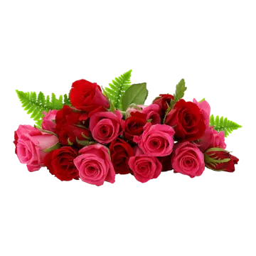 a bunch of red roses with green leaves