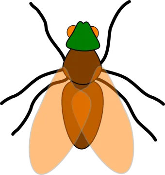 a bug with a green hat on its head