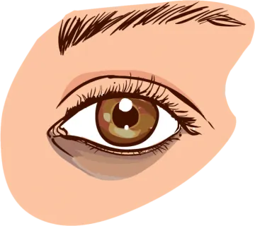 a woman's brown eye with long eyelashes