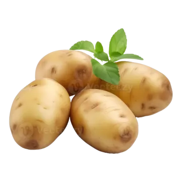 potatoes with leaves on white background