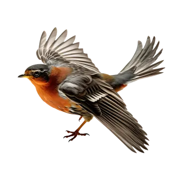 a bird that is flying in the air