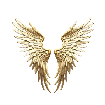 a pair of gold wings on a white background