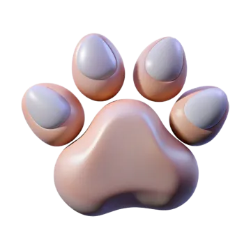 an animal paw on a white background