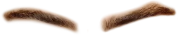 a pair of eyebrows on white background