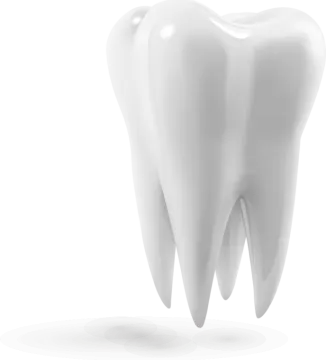 a tooth on a white background