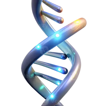 the structure of a dna molecule