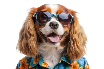 a dog wearing sunglasses and a hawaiian shirt