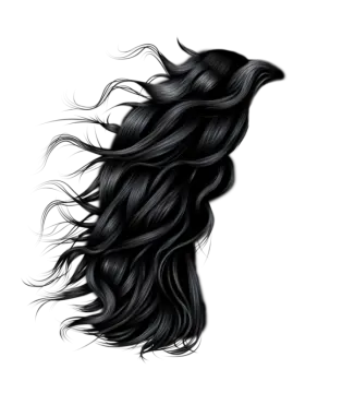 a drawing of a woman's head with long hair