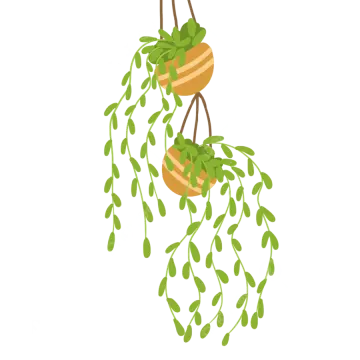 a hanging plant with green leaves on it
