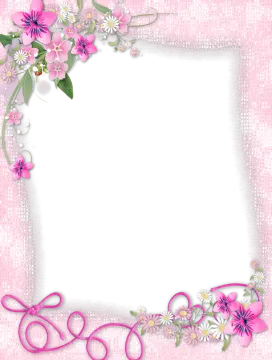 a frame with pink flowers and leaves on a white background