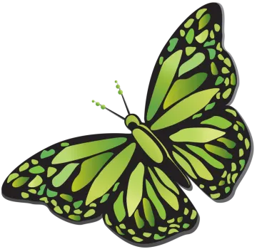 a green butterfly on a white background