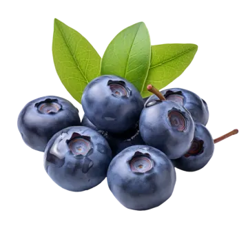 a bunch of blueberries with green leaves