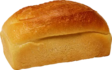 a loaf of bread on a white background