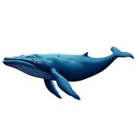 a blue whale swimming in the ocean