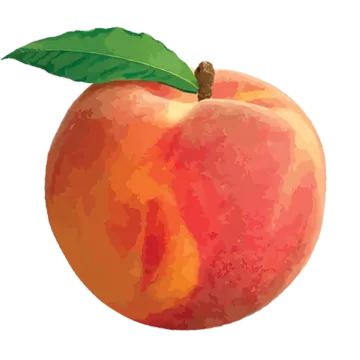 an apple with a green leaf on top