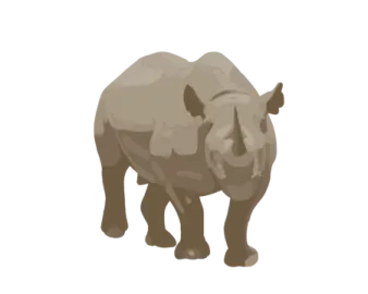 a rhino on a white background