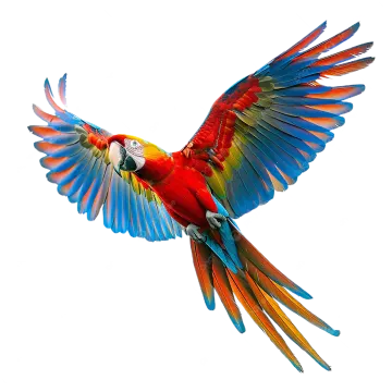 a colorful parrot flying in the air