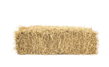 a roll of hay on a white background