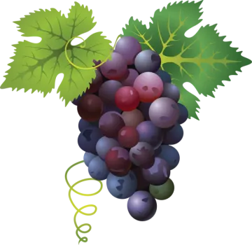a bunch of grapes with green leaves