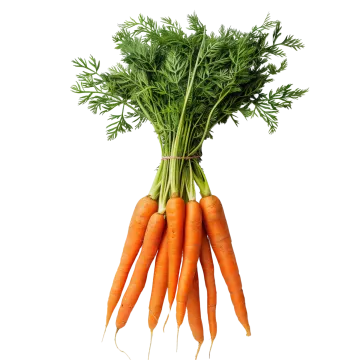 a bunch of carrots on a white background