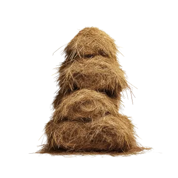 a pile of hay on a white background