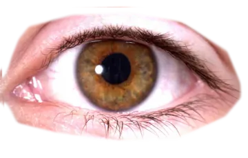 a close up view of an eye