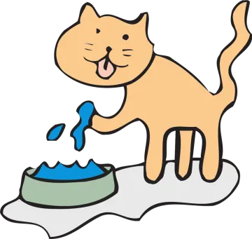 a cat drinking water from a bowl